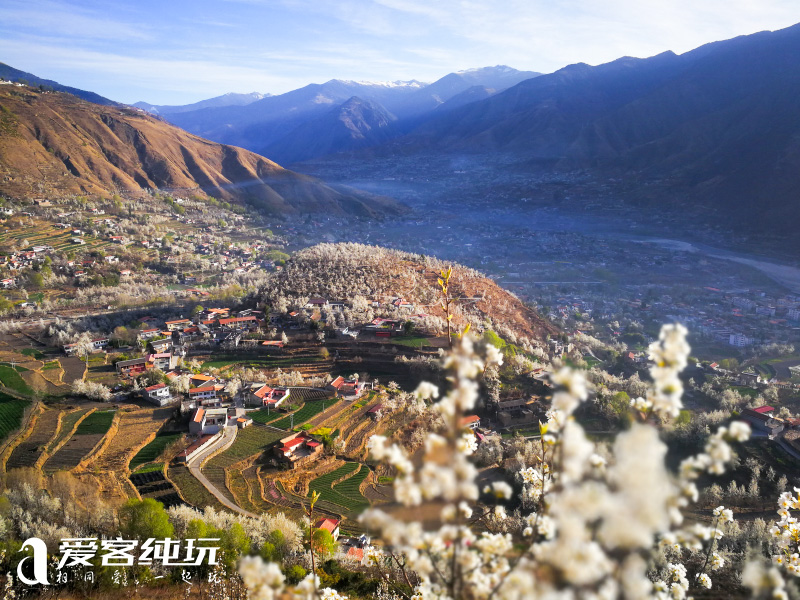 金川梨花8 金川梨花8