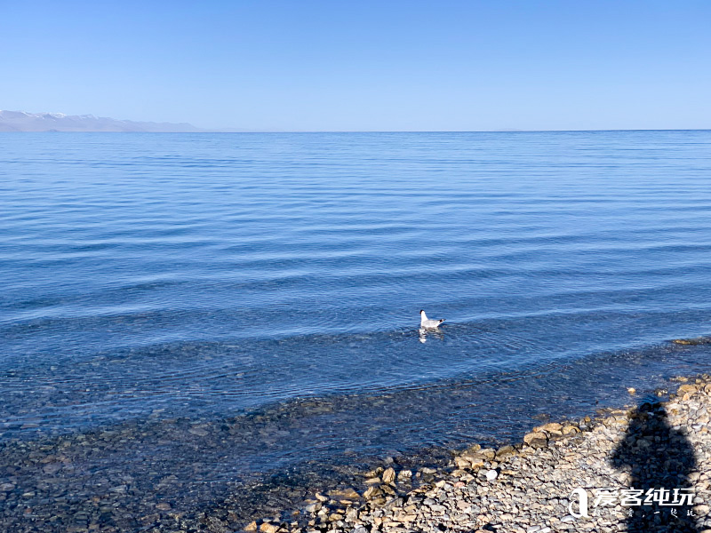 納木錯 (4) 納木錯 (4)