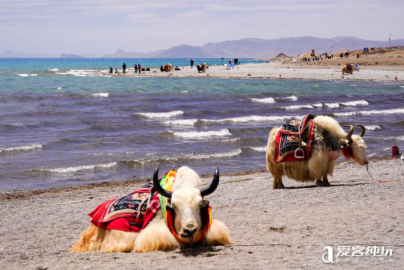 納木錯(cuò)-(15)