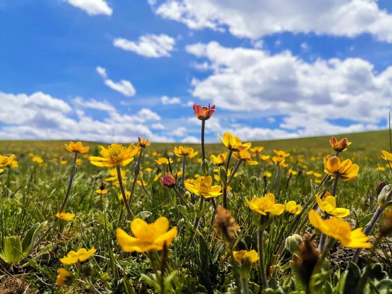 走川藏線的最佳時間是多久？
