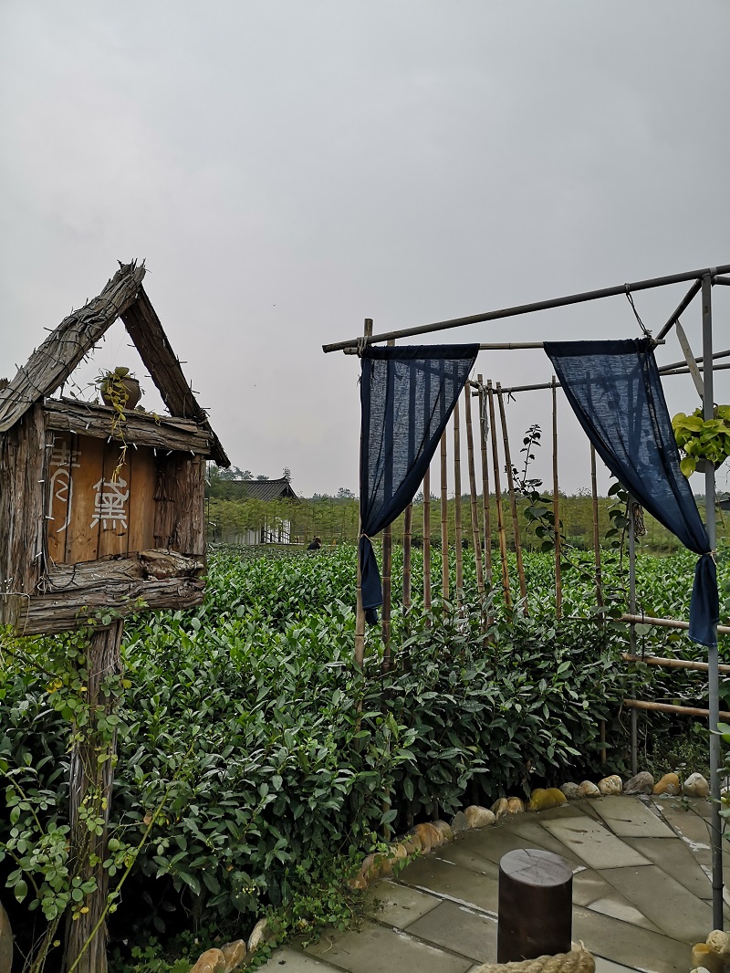 明月村 (25) 明月村 (25)