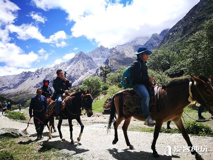 稻城亞丁景區騎馬安全嗎？這份實用指南請收好?