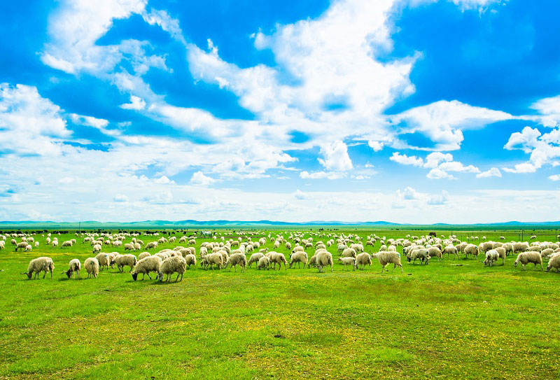 若爾蓋 (2) 若爾蓋 (2)