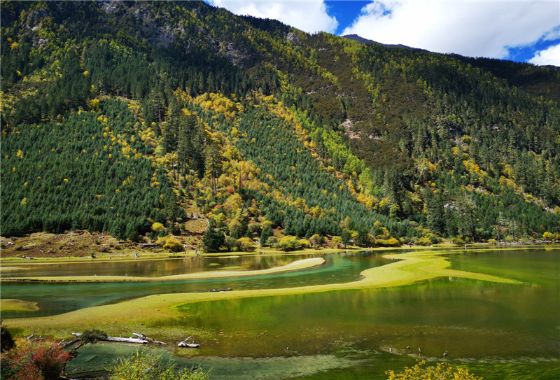 蓮花湖 (4)_副本