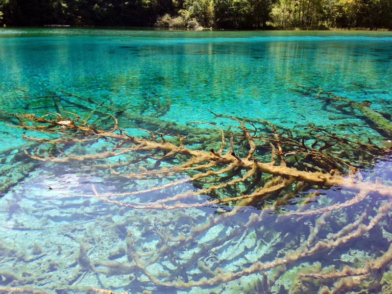 九寨溝 (8) 九寨溝 (8)