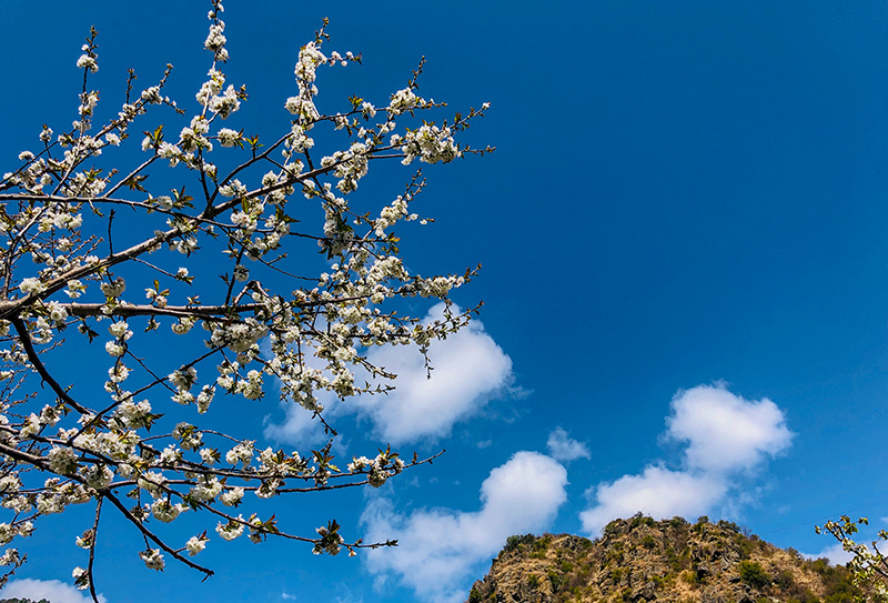 丹巴甲居藏寨23 丹巴甲居藏寨23