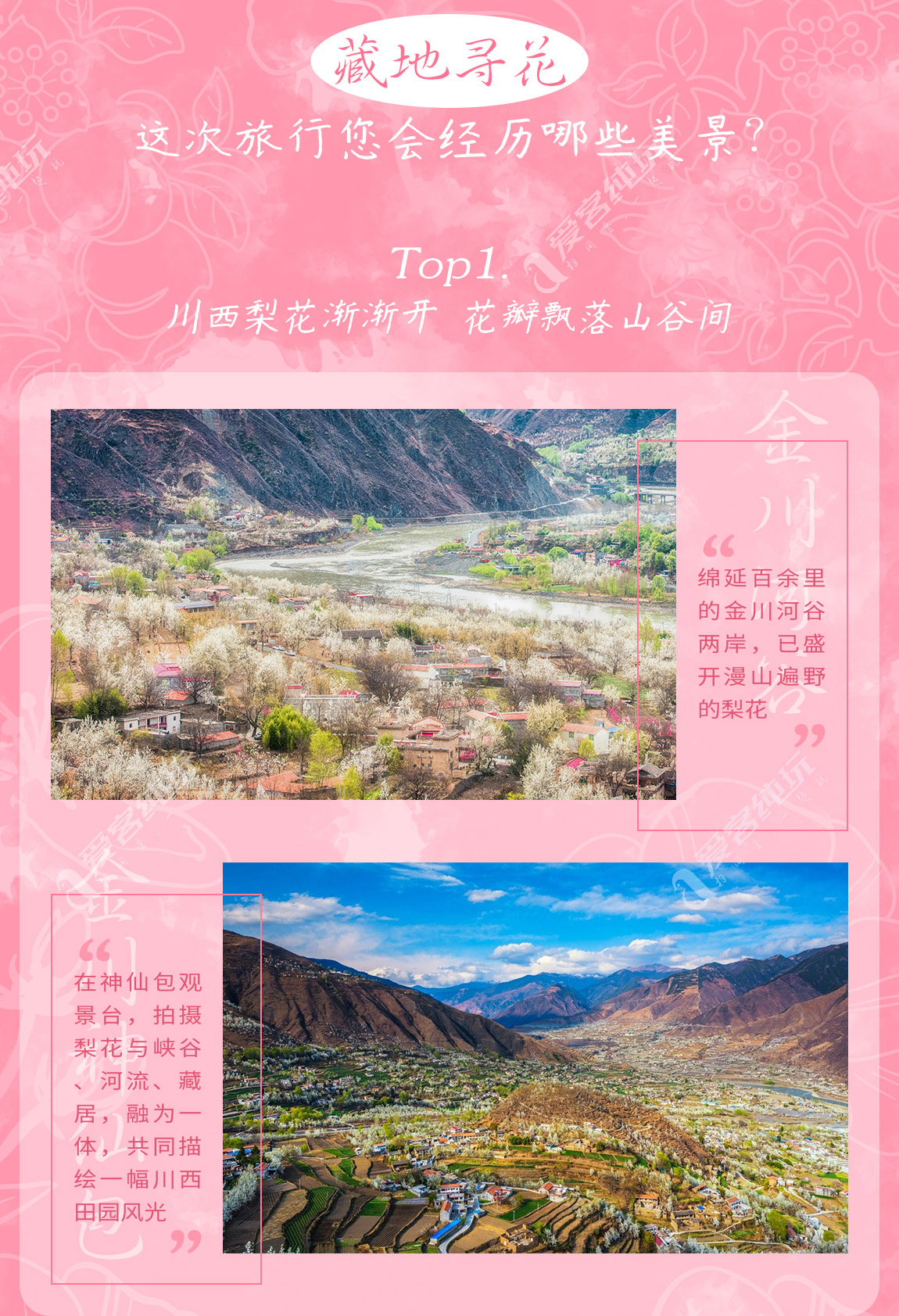 藏地尋花_第一部分_02