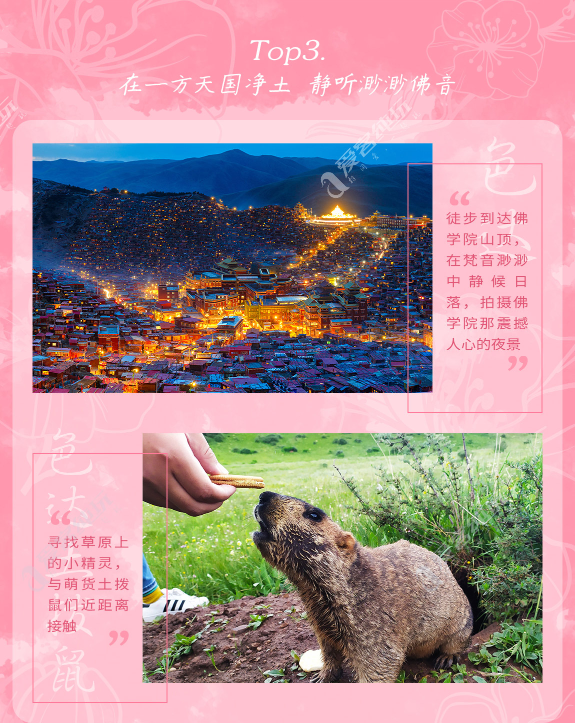 藏地尋花_第一部分_04