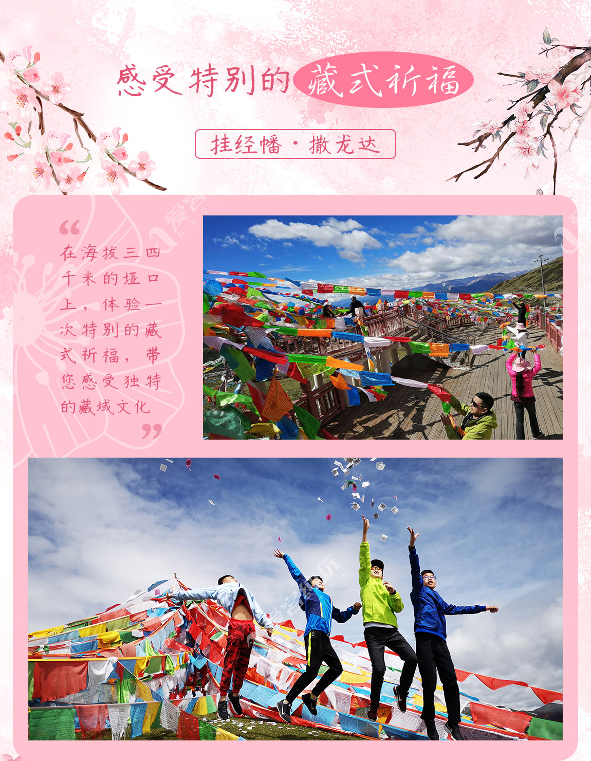 藏地尋花_第二部分_01