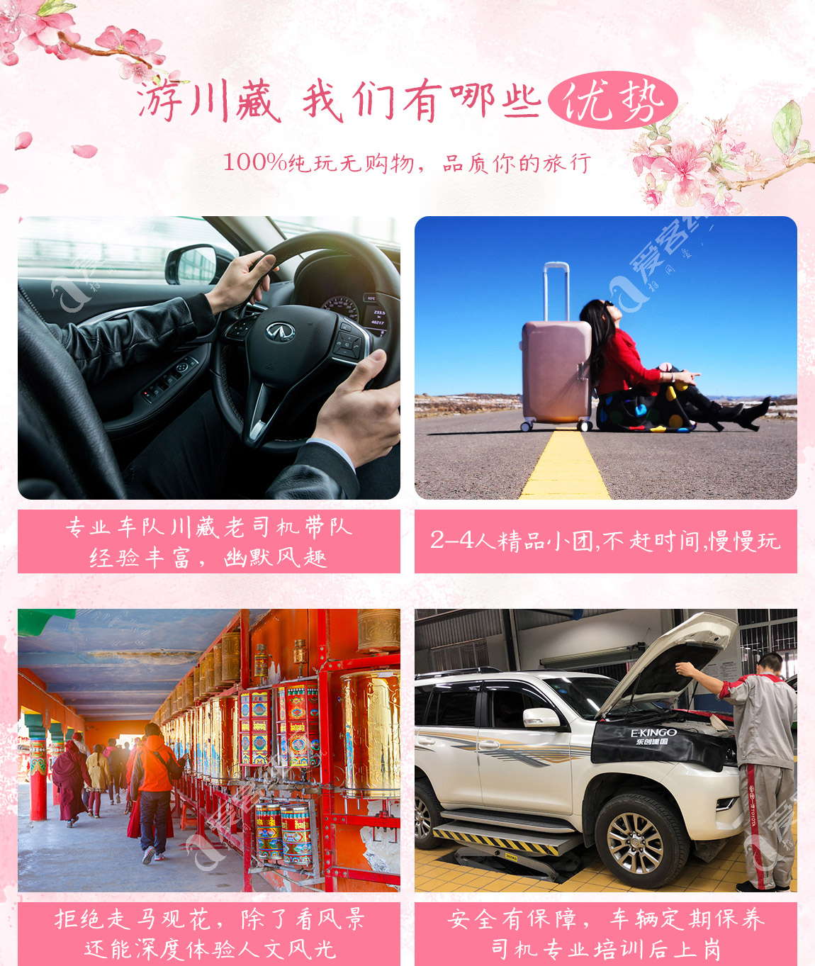 藏地尋花_第二部分_03