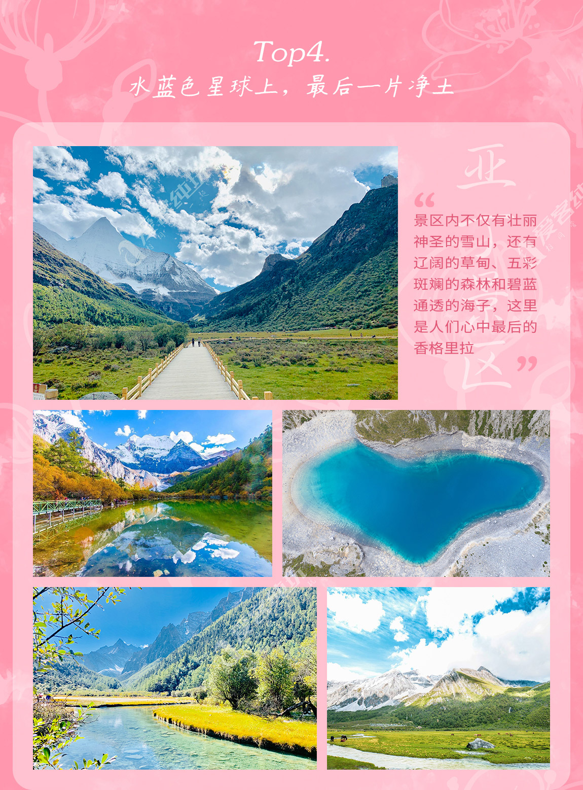 藏地尋花_第一部分_05