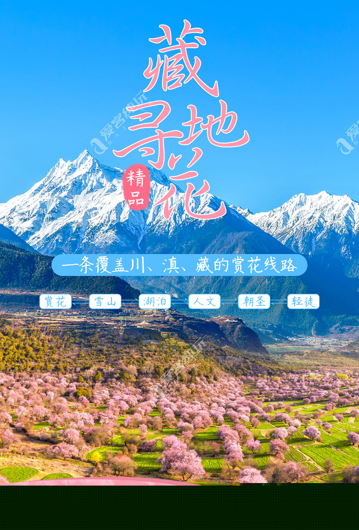 藏地尋花_第一部分_01