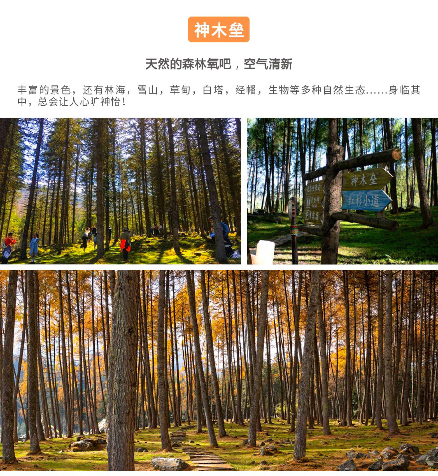 達瓦更扎二日游_12 達瓦更扎二日游_12