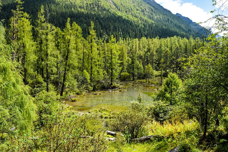 瑪嘉溝 (2) 瑪嘉溝 (2)