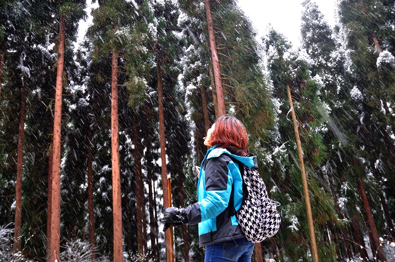 雞冠山 (2) 雞冠山 (2)