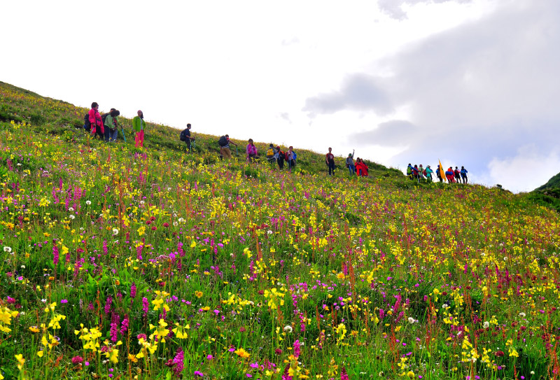 九頂山 (19) 九頂山 (19)