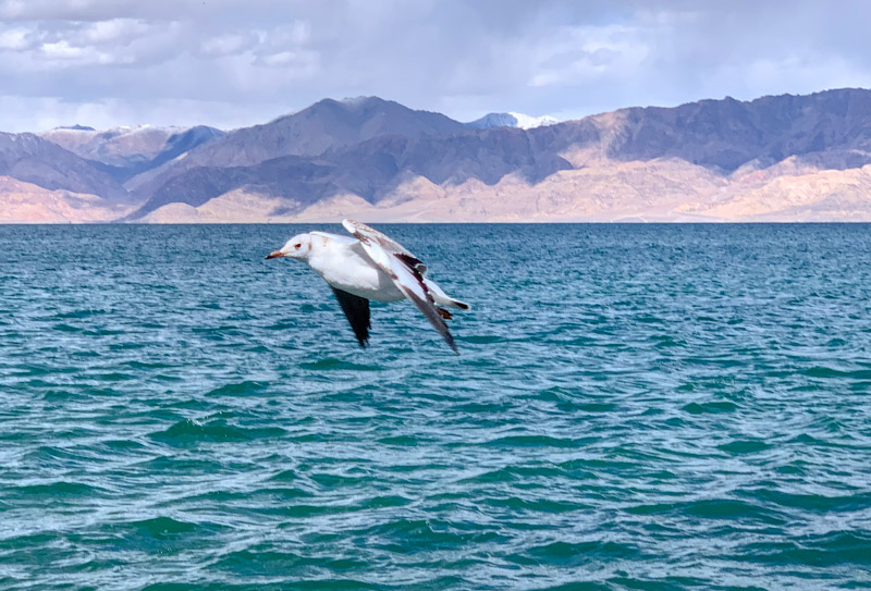 班公湖 (4) 班公湖 (4)