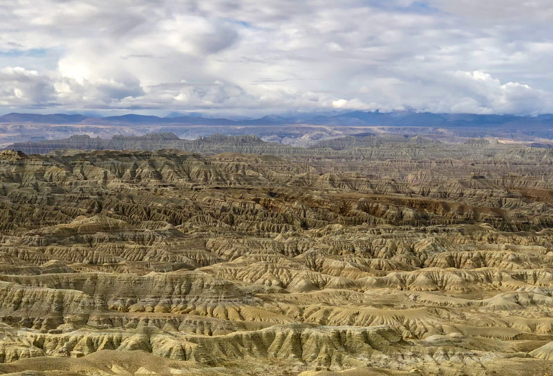 扎達(dá)土林 (6)