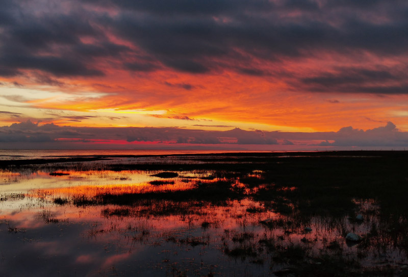 青海湖黑馬河 (1)