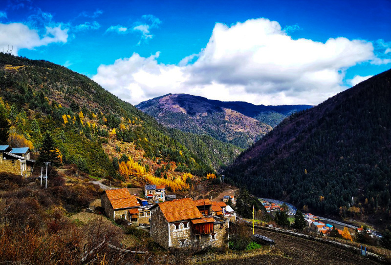 米亞羅紅葉 米亞羅紅葉