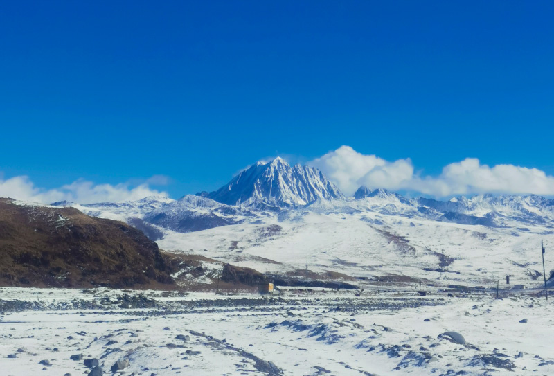 魚子西遠(yuǎn)眺