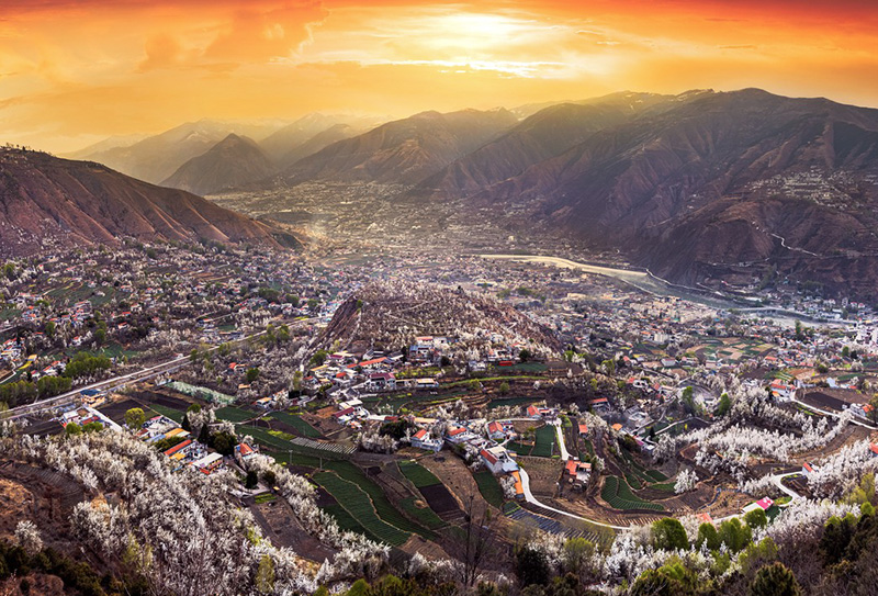 金川梨花 金川梨花