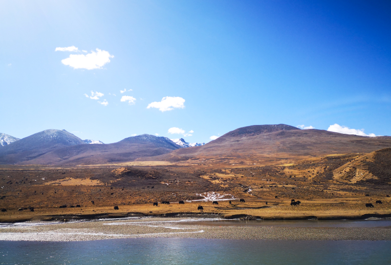 秋天的毛埡草原