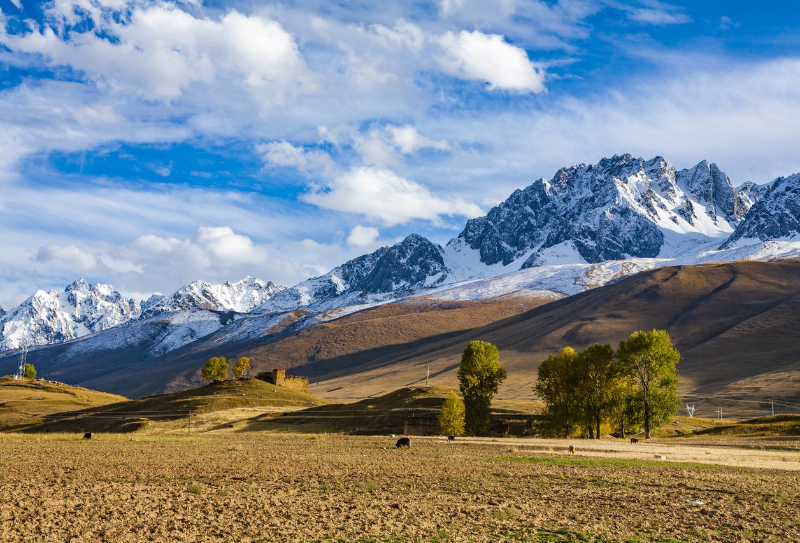 馬尼干戈雪山牧場 馬尼干戈雪山牧場