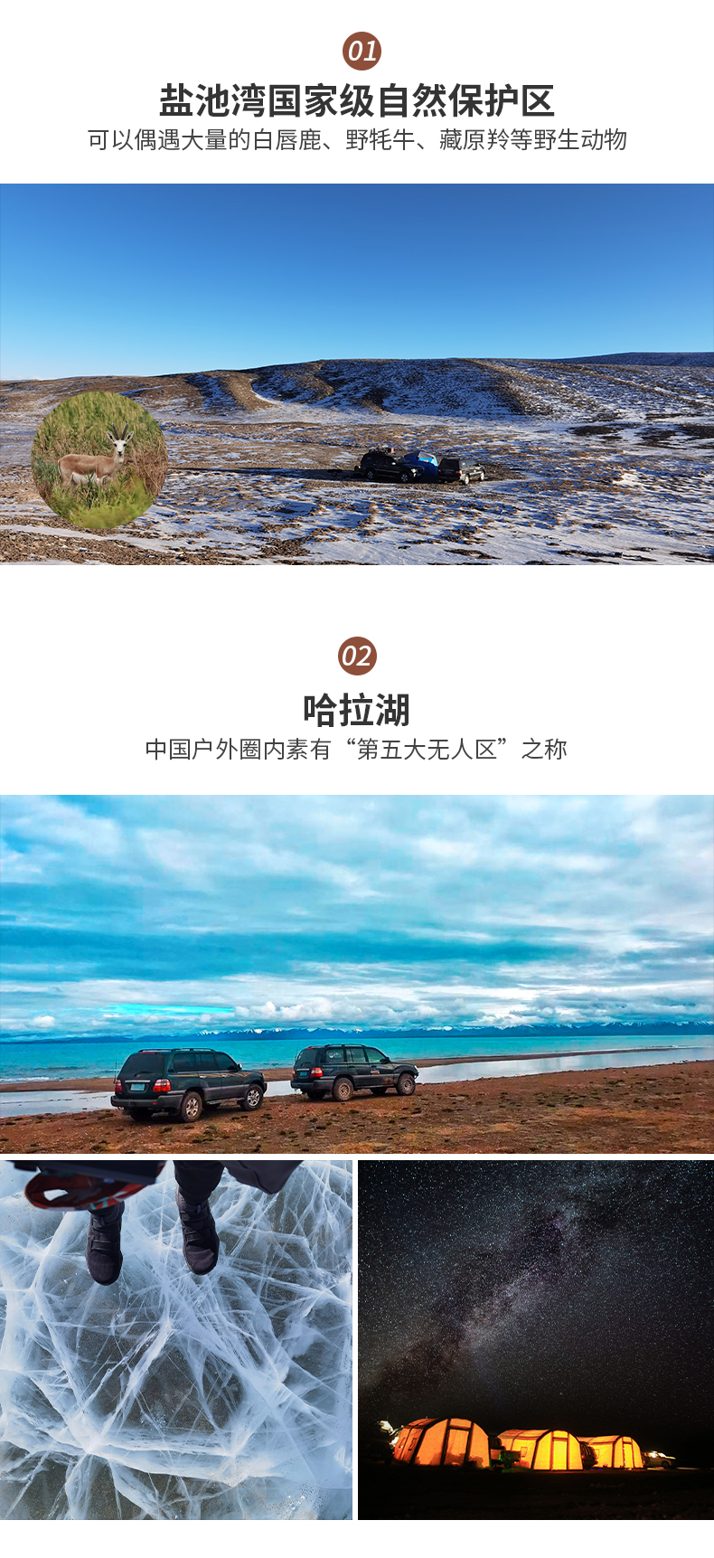 大美哈拉湖2 (2)