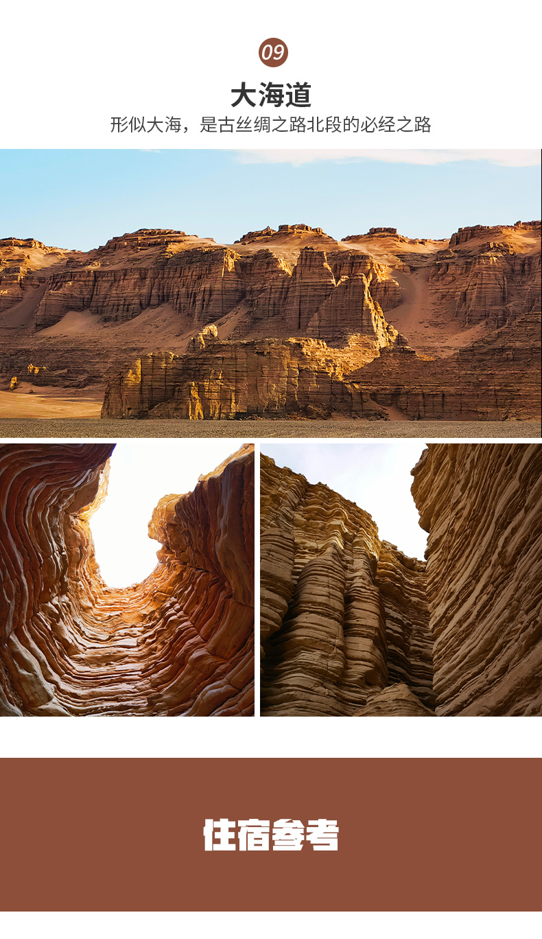 大美哈拉湖2 (6)