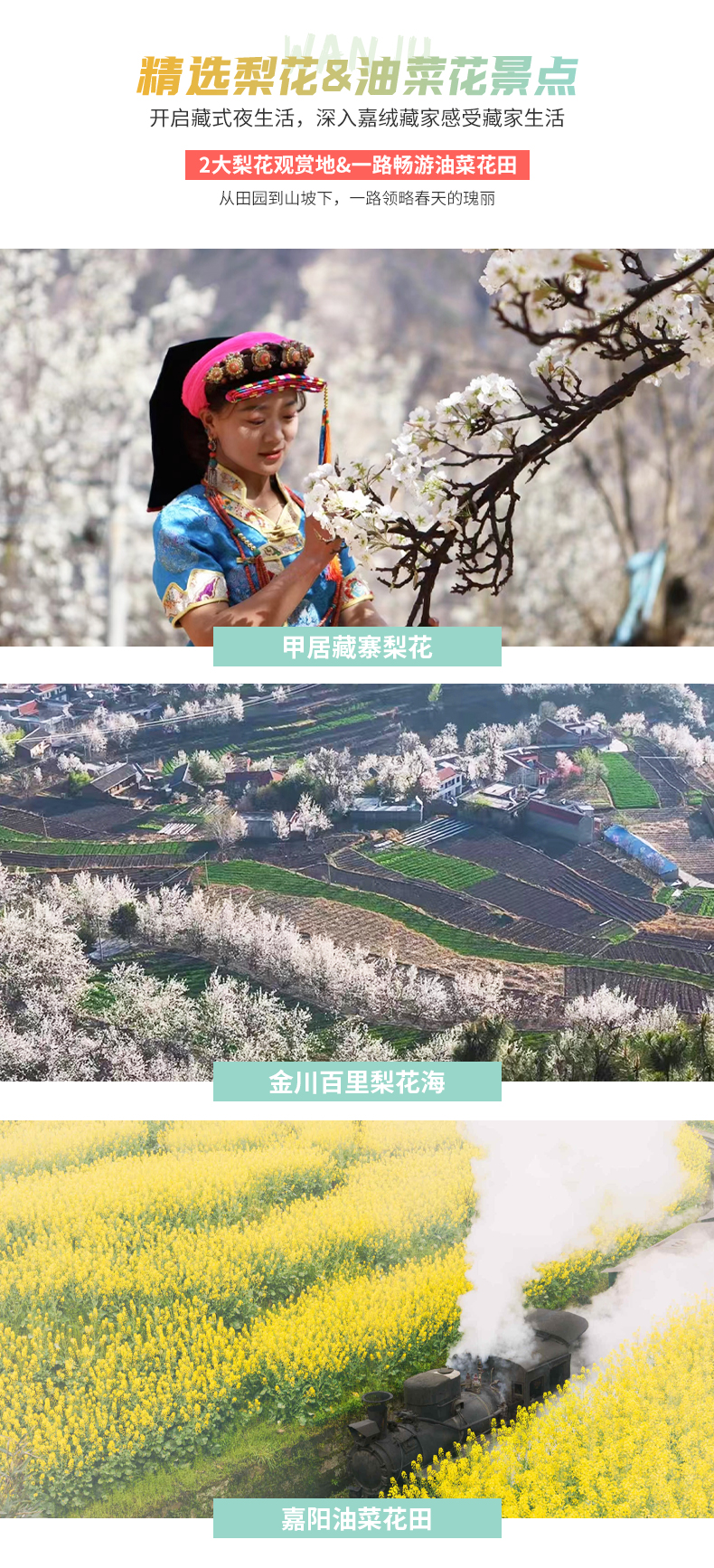 梨花-油菜花2-14人小團5日詳情-上---復件(1)_06