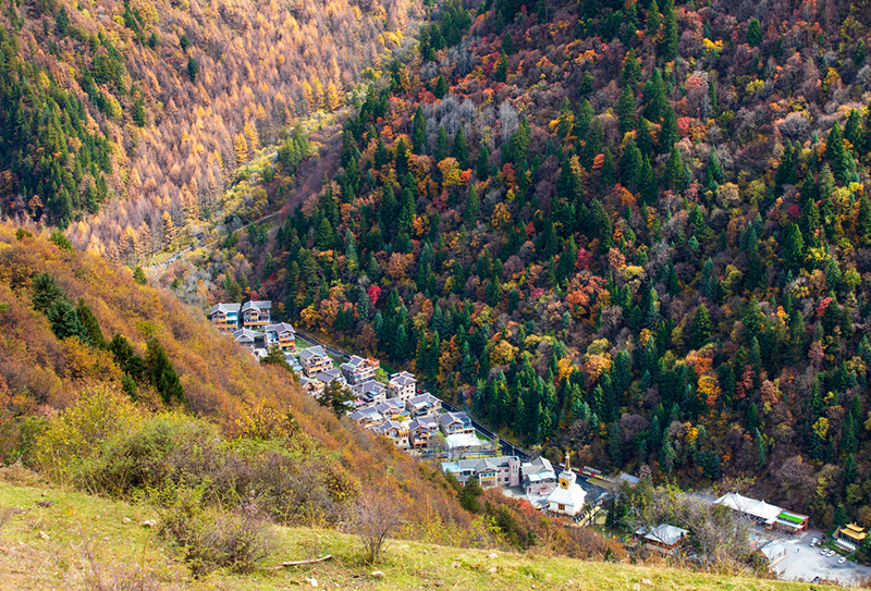 羊茸哈德 (1) 羊茸哈德 (1)