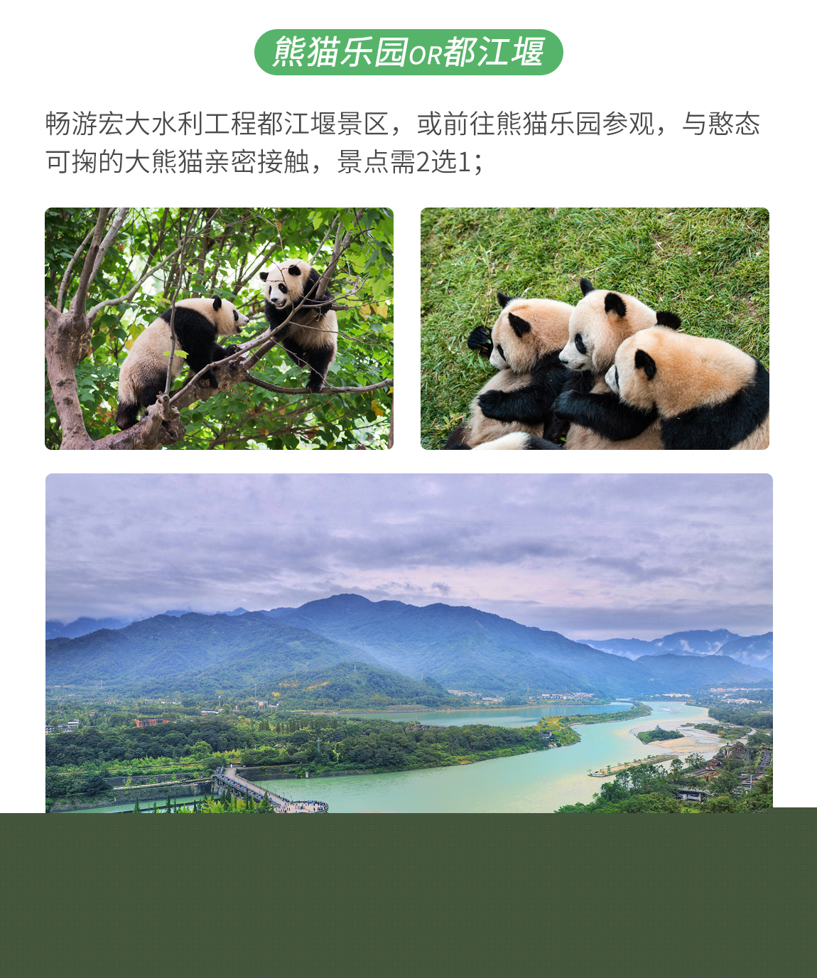 九寨溝三日游3_04