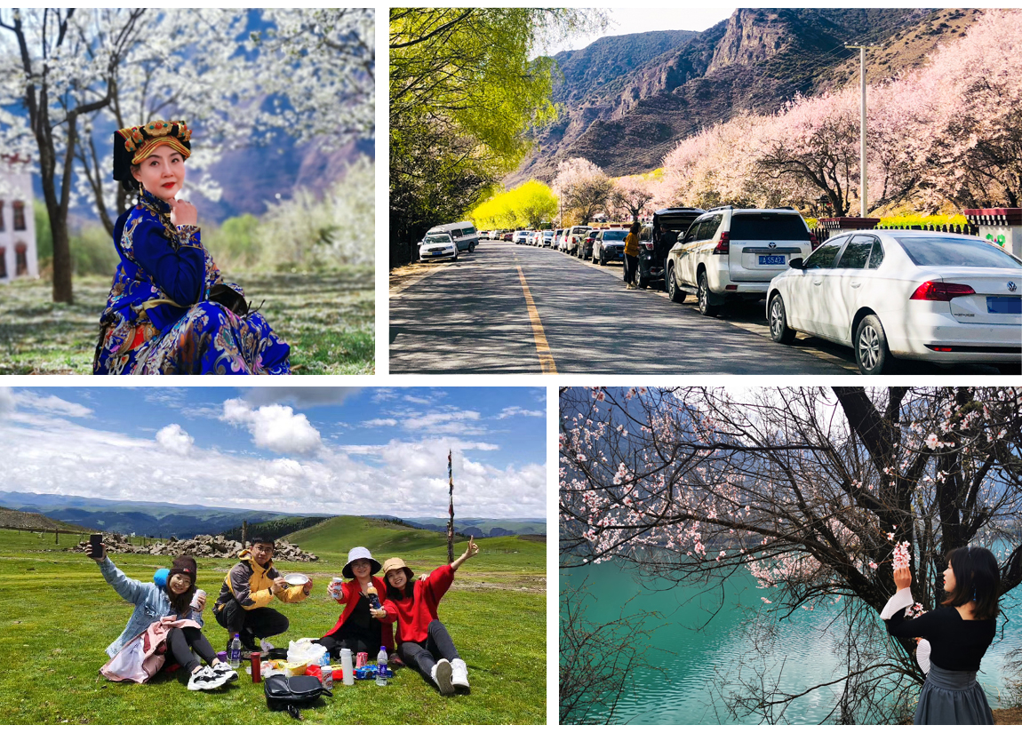 藏地花事-第4部_08