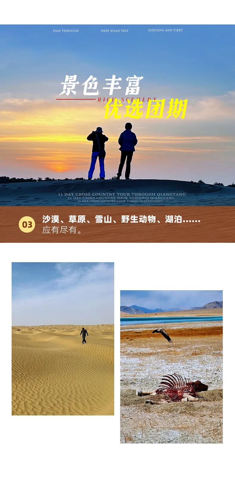 縱穿羌塘6 縱穿羌塘6