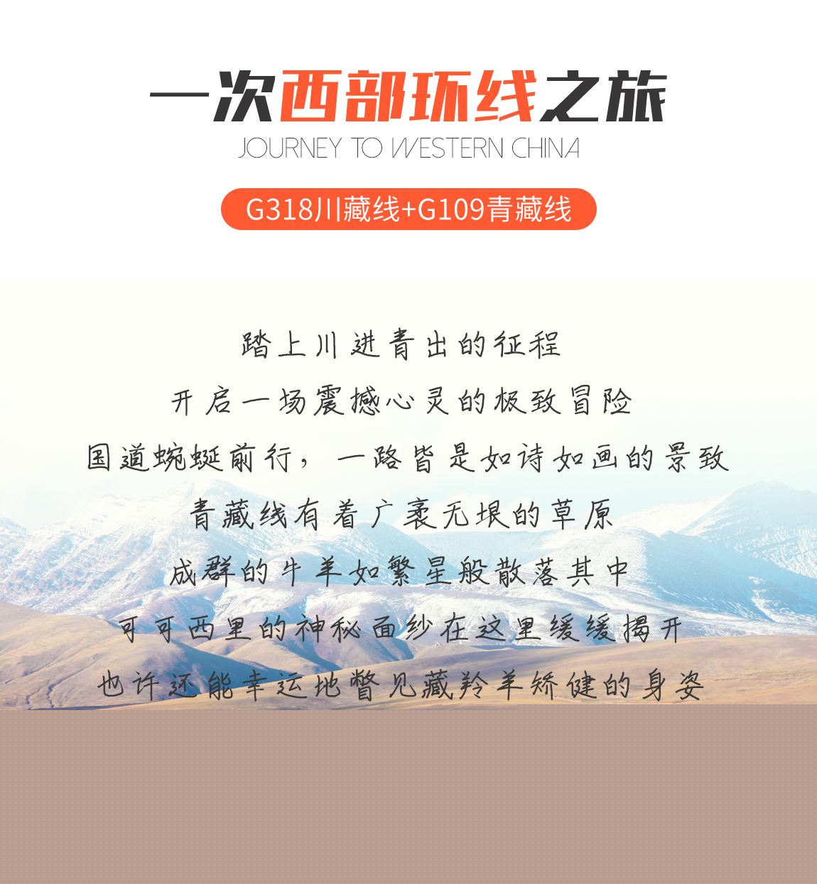 川進青出15天詳情頁1_04 川進青出15天詳情頁1_04