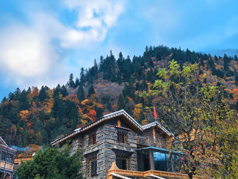 羊絨哈德2 羊絨哈德2