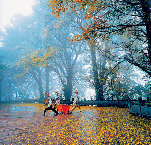 蒙頂山茶藝表演