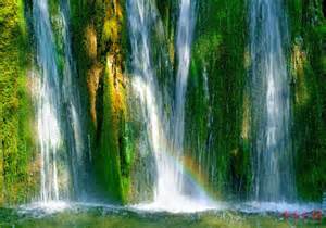 雨中的蜀南竹海 