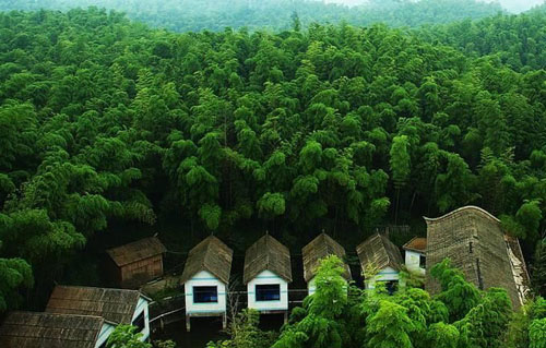 蜀南竹海，邂逅今生最美的愛情