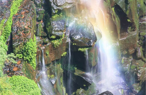 蜀南竹海必玩景點