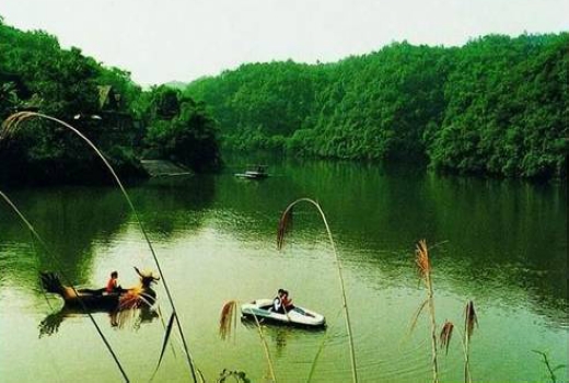 成都到碧峰峽有多遠