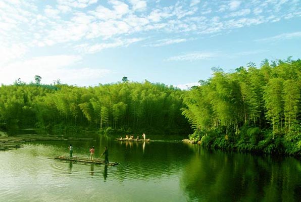 意外發現蜀南竹海