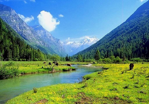 四姑娘山哪條溝好玩？