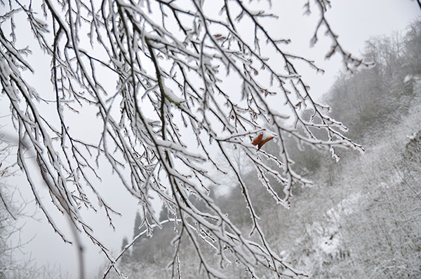 成都周邊徒步一日游景點