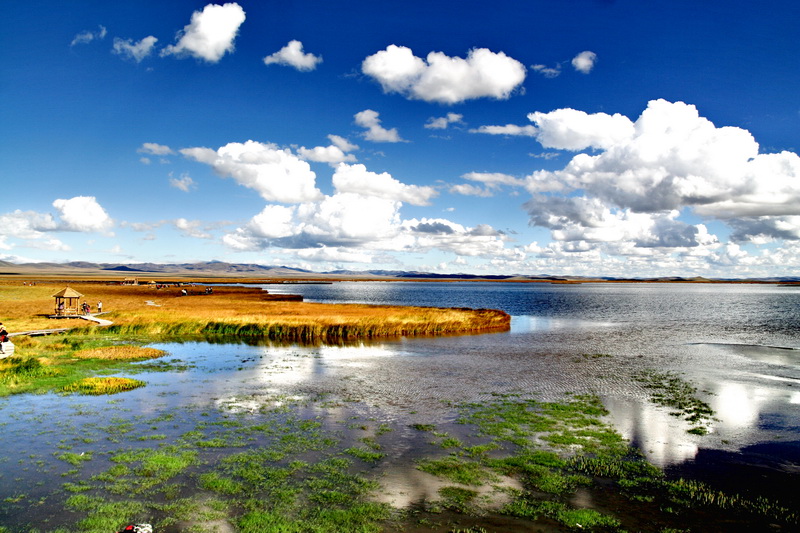 若爾蓋大草原在哪