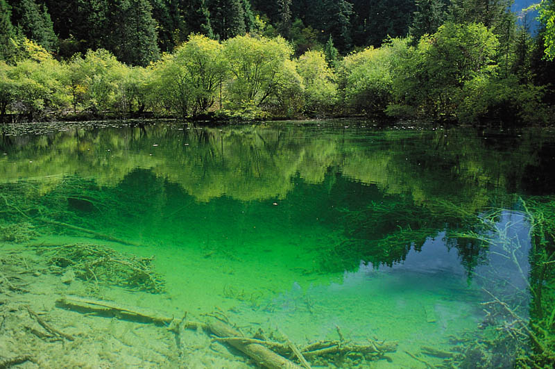 去四川牟尼溝玩怎么樣？